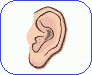 ear